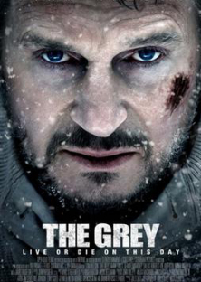 The Grey-The Grey