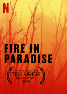 Fire in Paradise-Fire in Paradise