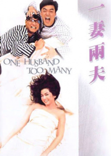 One Husband Too Many (1988)