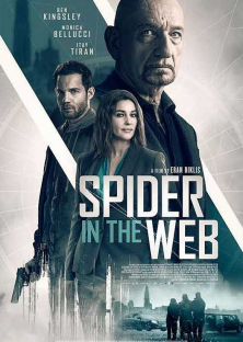 Spider in the Web-Spider in the Web