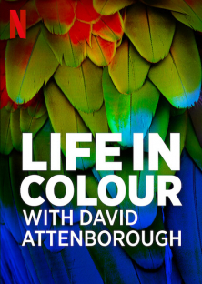 Life in Colour with David Attenborough-Life in Colour with David Attenborough