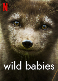 Wild Babies-Wild Babies