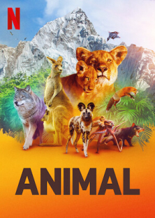 Animal (Season 1)-Animal (Season 1)
