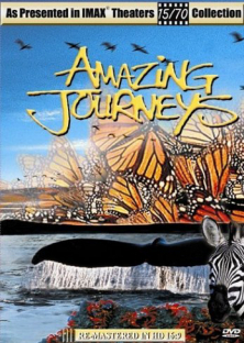 Amazing Journeys-Amazing Journeys