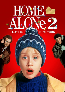 Home Alone 2: Lost in New York-Home Alone 2: Lost in New York