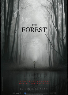The Forest-The Forest