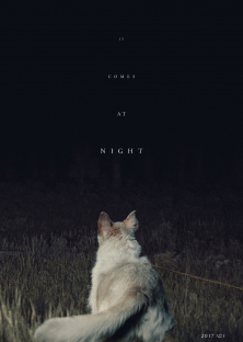It Comes At Night-It Comes At Night
