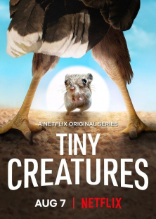 Tiny Creatures-Tiny Creatures