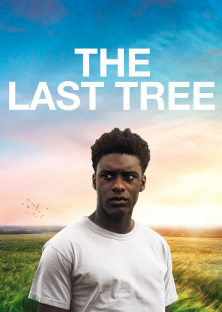 The Last Tree-The Last Tree