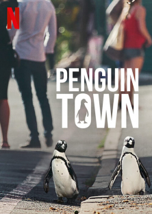 Penguin Town-Penguin Town