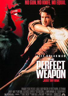 The Perfect Weapon-The Perfect Weapon