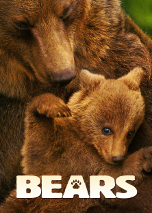 Bears-Bears
