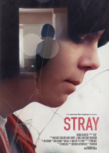 Stray-Stray