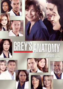 Grey's Anatomy (Season 10)-Grey's Anatomy (Season 10)