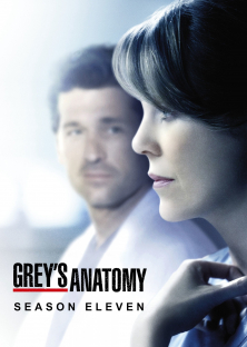 Grey's Anatomy (Season 11)-Grey's Anatomy (Season 11)
