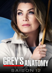 Grey's Anatomy (Season 12)-Grey's Anatomy (Season 12)