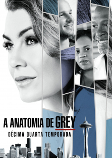 Grey's Anatomy (Season 14)-Grey's Anatomy (Season 14)