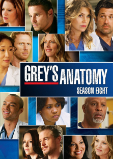 Grey's Anatomy (Season 8)-Grey's Anatomy (Season 8)