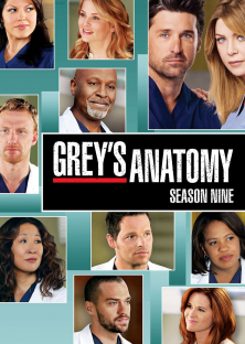 Grey's Anatomy (Season 9)-Grey's Anatomy (Season 9)