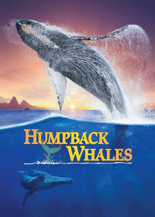 Humpback Whales-Humpback Whales