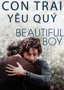 Beautiful Boy (2018)