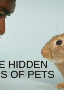 The Hidden Lives of Pets-The Hidden Lives of Pets