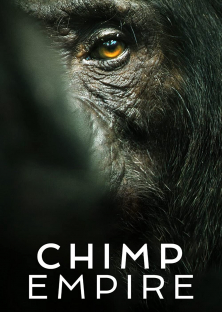 Chimp Empire-Chimp Empire