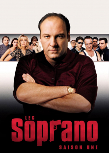 The Sopranos (Season 1)-The Sopranos (Season 1)