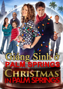 Christmas in Palm Springs (2014)