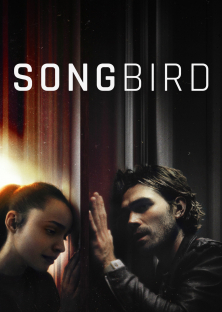 Songbird-Songbird
