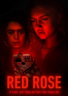 Red Rose-Red Rose