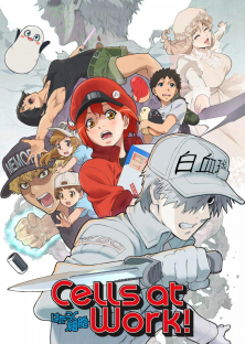 Cells at Work!-Cells at Work!