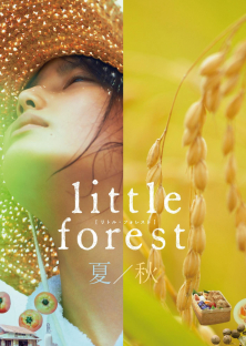 Little Forest: Summer/Autumn-Little Forest: Summer/Autumn