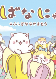 Bananya and the Curious Bunch-Bananya and the Curious Bunch