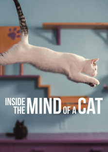 Inside the Mind of a Cat-Inside the Mind of a Cat