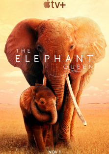 The Elephant Queen-The Elephant Queen