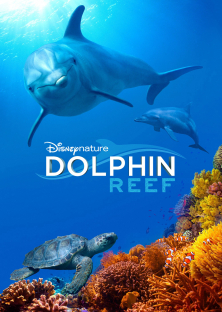 Dolphin Reef-Dolphin Reef