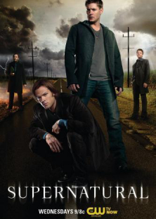 Supernatural (Season 5)-Supernatural (Season 5)