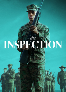 The Inspection-The Inspection