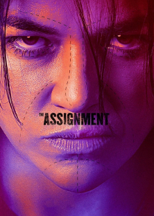 The Assignment-The Assignment