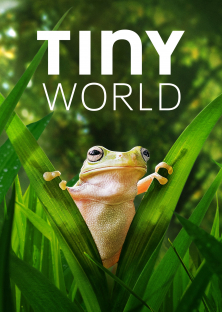Tiny World (Season 2)-Tiny World (Season 2)