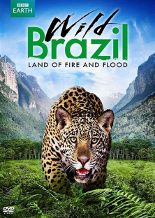 Wild Brazil (2014) Episode 1