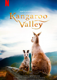 Kangaroo Valley-Kangaroo Valley