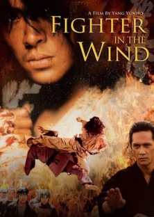 Fighter in the Wind-Fighter in the Wind