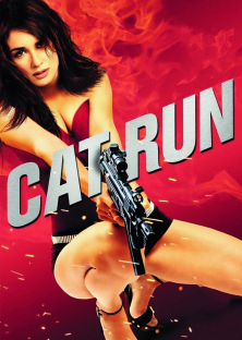 Cat Run-Cat Run