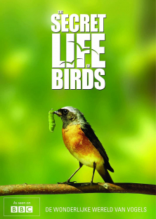 The Secret Life of Birds -The Secret Life of Birds 