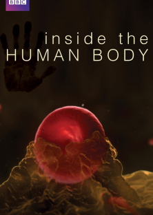 Inside the Human Body-Inside the Human Body