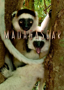 Madagascar-Madagascar