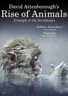 David Attenborough's Rise of Animals: Triumph of the Vertebrates-David Attenborough's Rise of Animals: Triumph of the Vertebrates