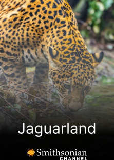 Jaguarland-Jaguarland
